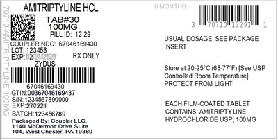 Label (70710 1229 1 Amitriptyline HCl 100mg 67046 1694 30)